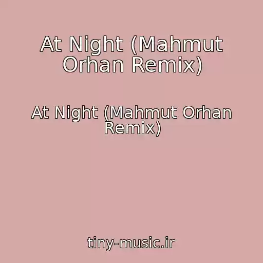 کاور آهنگ At Night (Mahmut Orhan Remix) از At Night (Mahmut Orhan Remix)