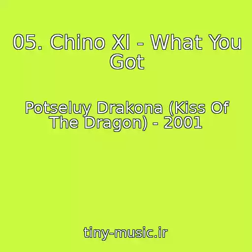 کاور آهنگ 05. Chino Xl - What You Got از Potseluy Drakona (Kiss Of The Dragon) - 2001
