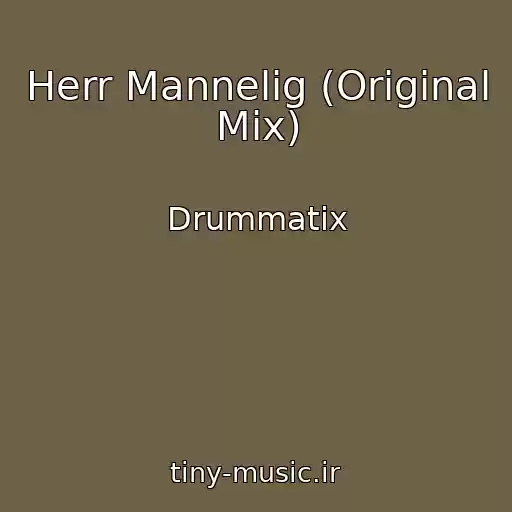 کاور آهنگ Herr Mannelig (Original Mix) از Drummatix