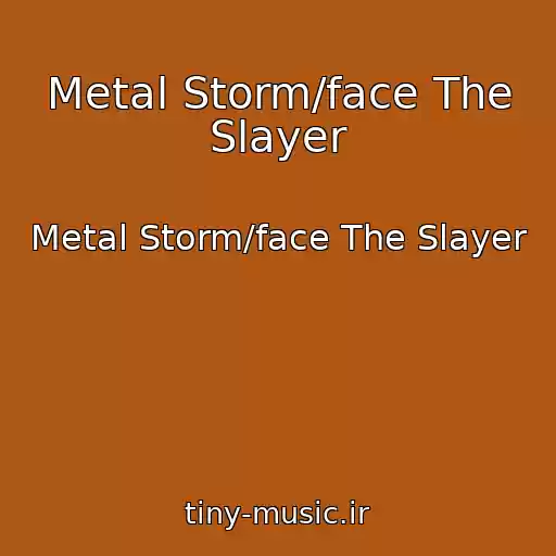 کاور آهنگ Metal Storm/face The Slayer از Metal Storm/face The Slayer