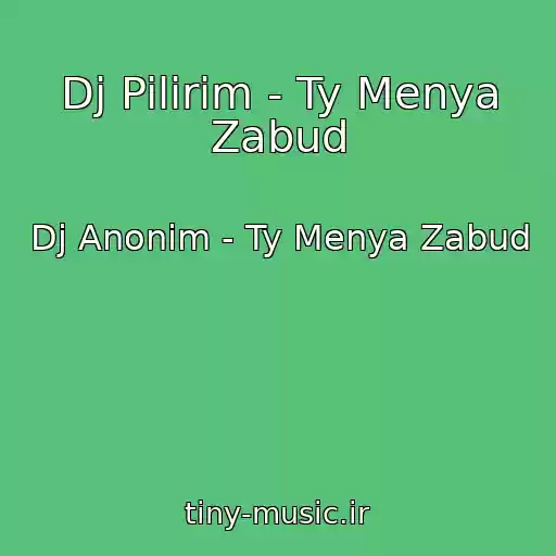 کاور آهنگ Dj Pilirim - Ty Menya Zabud از Dj Anonim - Ty Menya Zabud