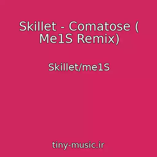 کاور آهنگ Skillet - Comatose ( Me1S Remix) از Skillet/me1S