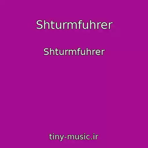 کاور آهنگ Shturmfuhrer از Shturmfuhrer