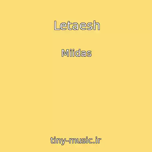 کاور آهنگ Letaesh از Miidas