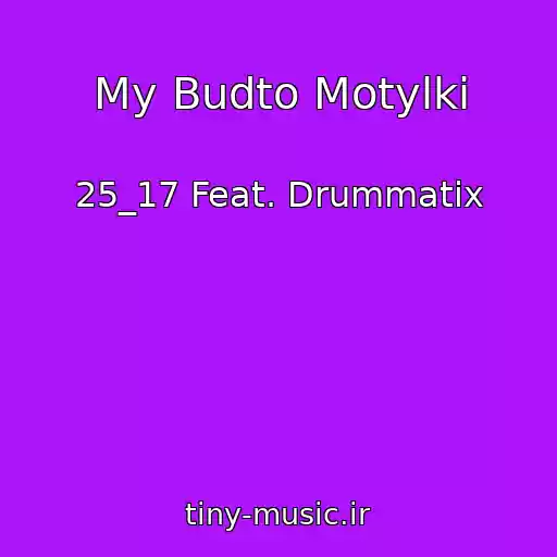 کاور آهنگ My Budto Motylki از 25_17 Feat. Drummatix