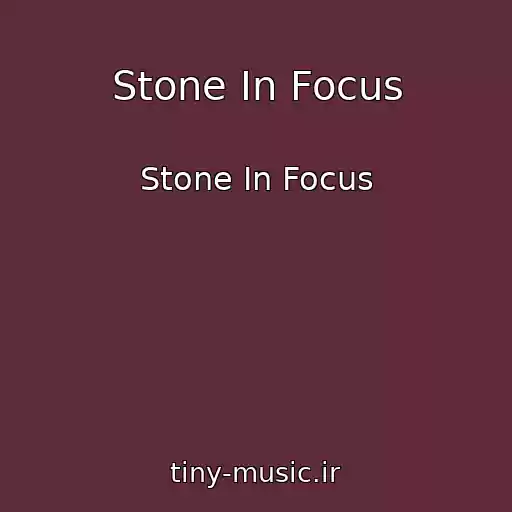 کاور آهنگ Stone In Focus از Stone In Focus