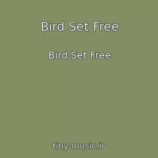 کاور آهنگ Bird Set Free از Bird Set Free