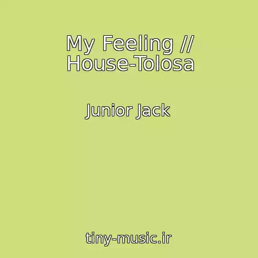 کاور آهنگ My Feeling // House-Tolosa از Junior Jack