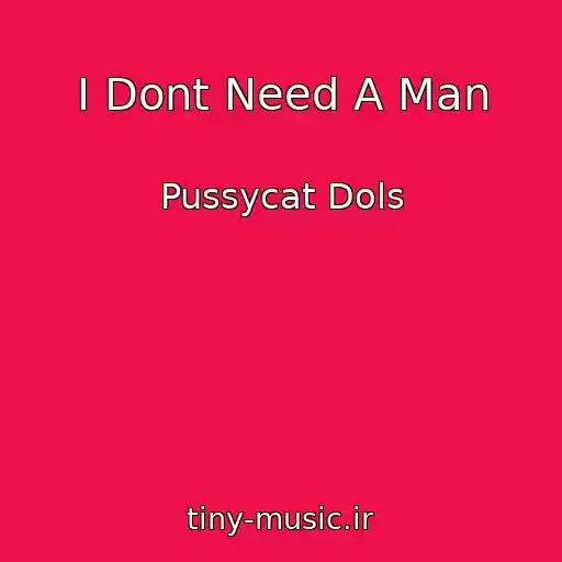 کاور آهنگ I Dont Need A Man از Pussycat Dols