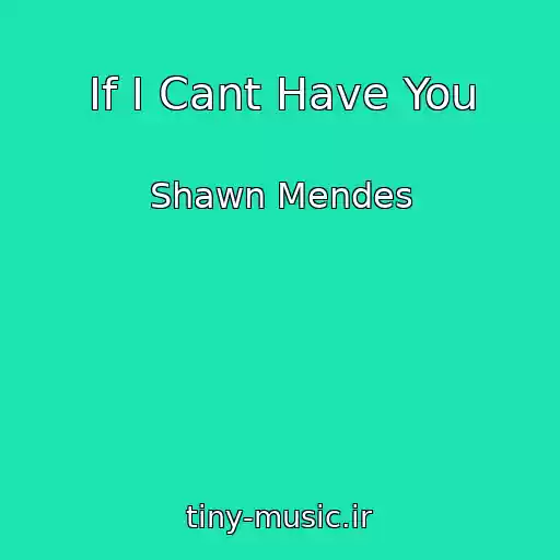 کاور آهنگ If I Cant Have You از Shawn Mendes