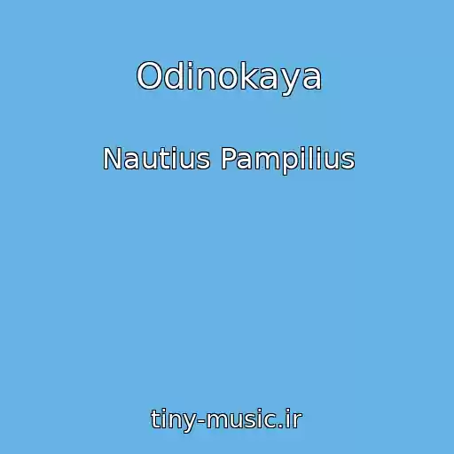 کاور آهنگ Odinokaya از Nautius Pampilius