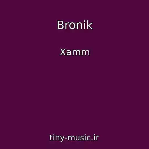 کاور آهنگ Bronik از Xamm