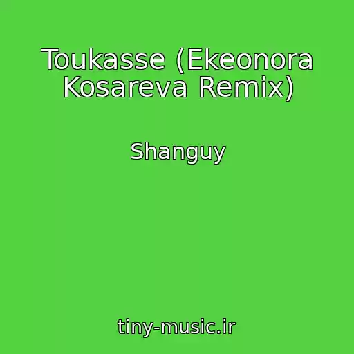 کاور آهنگ Toukasse (Ekeonora Kosareva Remix) از Shanguy
