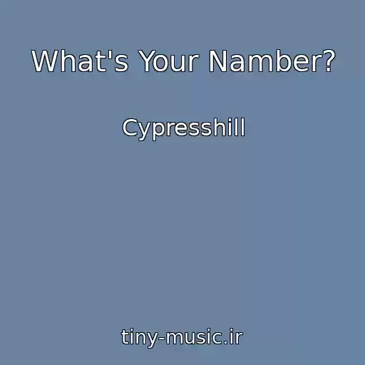 کاور آهنگ What's Your Namber? از Cypresshill