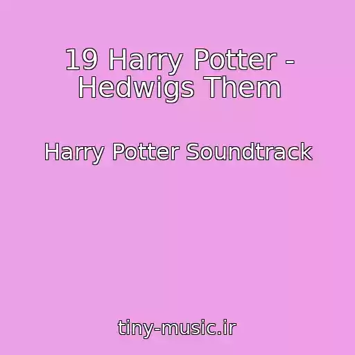 کاور آهنگ 19 Harry Potter - Hedwigs Them از Harry Potter Soundtrack