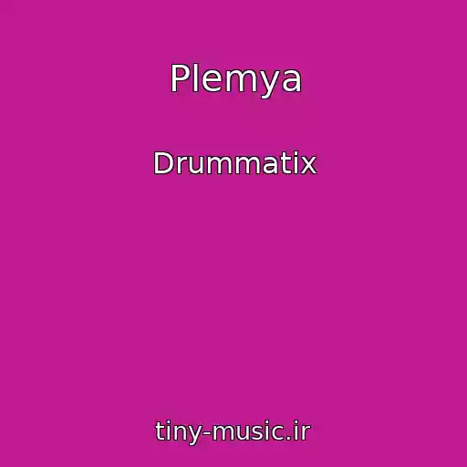 کاور آهنگ Plemya از Drummatix