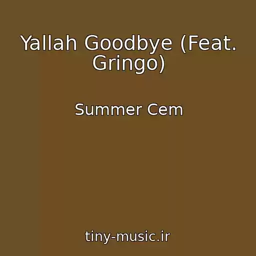 کاور آهنگ Yallah Goodbye (Feat. Gringo) از Summer Cem