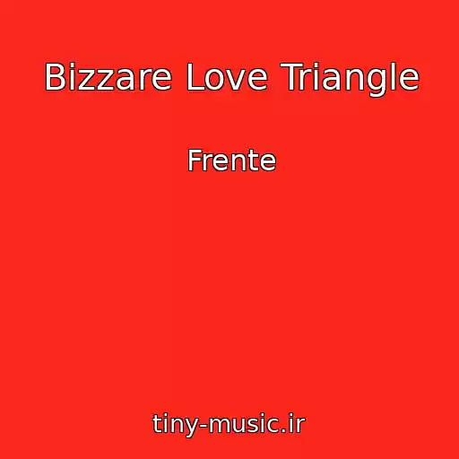 کاور آهنگ Bizzare Love Triangle از Frente