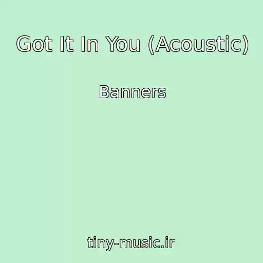 کاور آهنگ Got It In You (Acoustic) از Banners