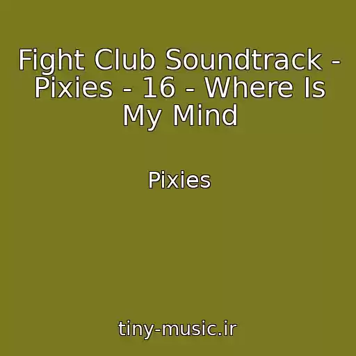کاور آهنگ Fight Club Soundtrack - Pixies - 16 - Where Is My Mind از Pixies