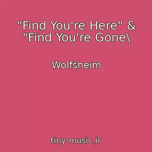 کاور آهنگ "Find You're Here" & "Find You're Gone\ از Wolfsheim