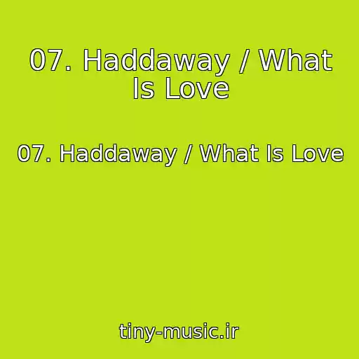 کاور آهنگ 07. Haddaway / What Is Love از 07. Haddaway / What Is Love