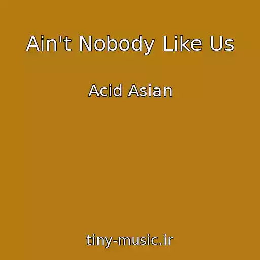 کاور آهنگ Ain't Nobody Like Us از Acid Asian
