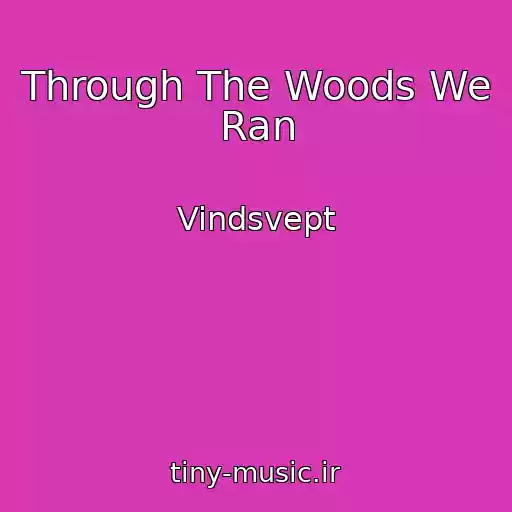 کاور آهنگ Through The Woods We Ran از Vindsvept