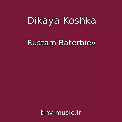 کاور آهنگ Dikaya Koshka از Rustam Baterbiev