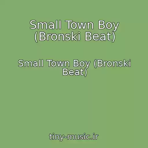 کاور آهنگ Small Town Boy (Bronski Beat) از Small Town Boy (Bronski Beat)