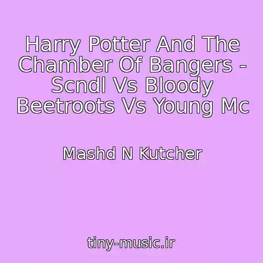 کاور آهنگ Harry Potter And The Chamber Of Bangers - Scndl Vs Bloody Beetroots Vs Young Mc از Mashd N Kutcher