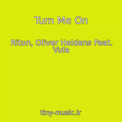 کاور آهنگ Turn Me On از Riton, Oliver Heldens Feat. Vula