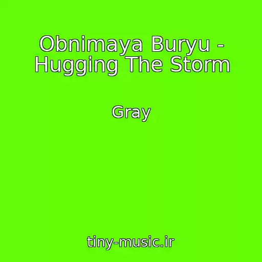 کاور آهنگ Obnimaya Buryu - Hugging The Storm از Gray