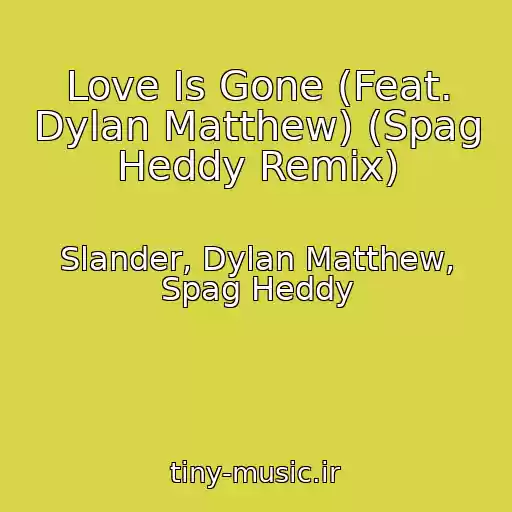 کاور آهنگ Love Is Gone (Feat. Dylan Matthew) (Spag Heddy Remix) از Slander, Dylan Matthew, Spag Heddy