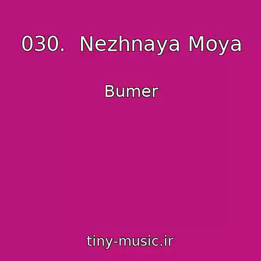 کاور آهنگ 030.  Nezhnaya Moya از Bumer