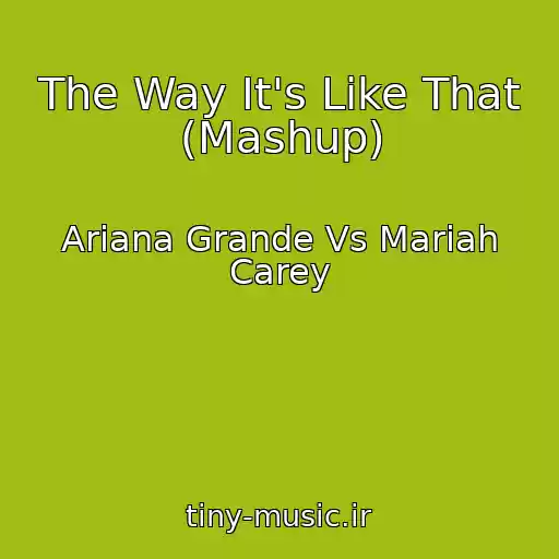 کاور آهنگ The Way It's Like That (Mashup) از Ariana Grande Vs Mariah Carey