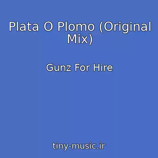 کاور آهنگ Plata O Plomo (Original Mix) از Gunz For Hire