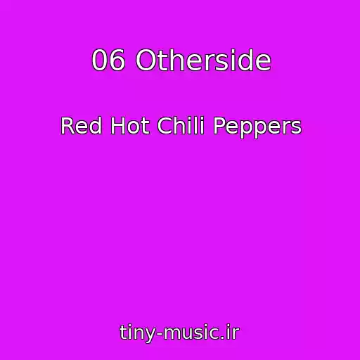کاور آهنگ 06 Otherside از Red Hot Chili Peppers