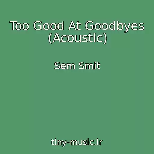 کاور آهنگ Too Good At Goodbyes (Acoustic) از Sem Smit