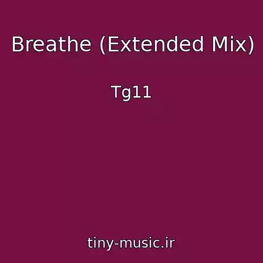 کاور آهنگ Breathe (Extended Mix) از Tg11