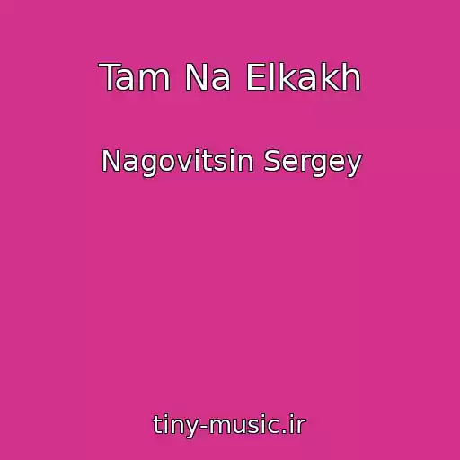 کاور آهنگ Tam Na Elkakh از Nagovitsin Sergey
