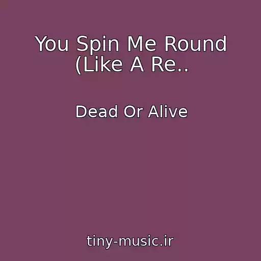 کاور آهنگ You Spin Me Round (Like A Re.. از Dead Or Alive