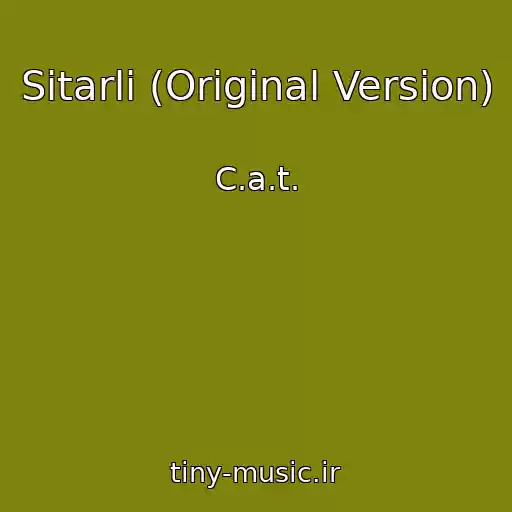 کاور آهنگ Sitarli (Original Version) از C.a.t.