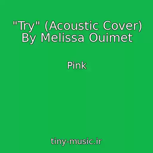 کاور آهنگ "Try" (Acoustic Cover) By Melissa Ouimet از Pink