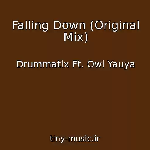 کاور آهنگ Falling Down (Original Mix) از Drummatix Ft. Owl Yauya