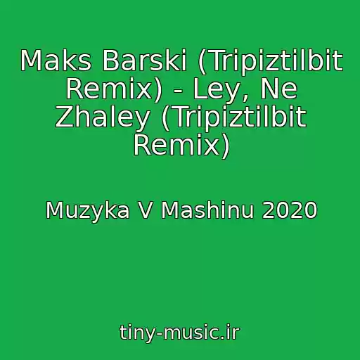 کاور آهنگ Maks Barski (Tripiztilbit Remix) - Ley, Ne Zhaley (Tripiztilbit Remix) از Muzyka V Mashinu 2020