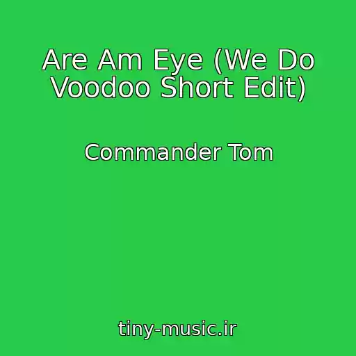 کاور آهنگ Are Am Eye (We Do Voodoo Short Edit) از Commander Tom