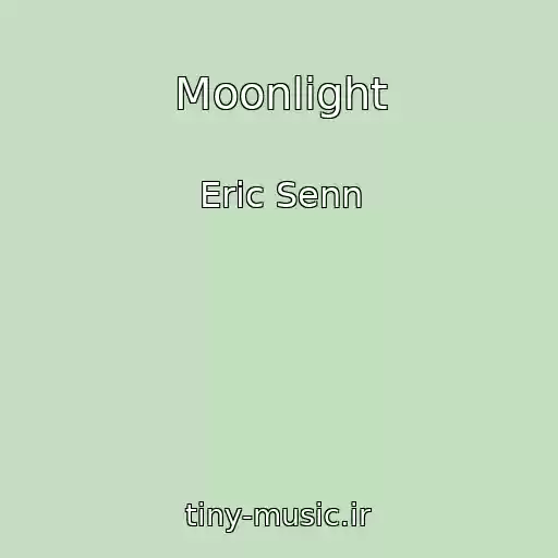 کاور آهنگ Moonlight از Eric Senn