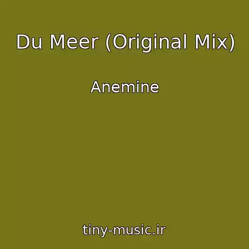 کاور آهنگ Du Meer (Original Mix) از Anemine