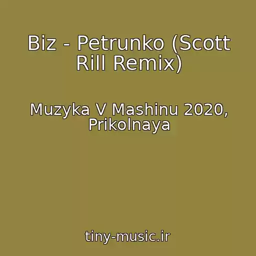 کاور آهنگ Biz - Petrunko (Scott Rill Remix) از Muzyka V Mashinu 2020, Prikolnaya